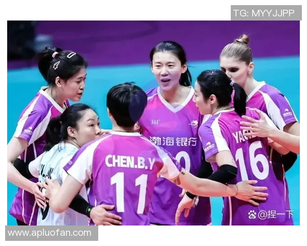 杭州排球队状态变革引发热议球迷期待新篇章